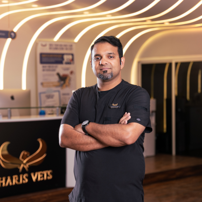 Untitled design - 2023-10-04T102436.132