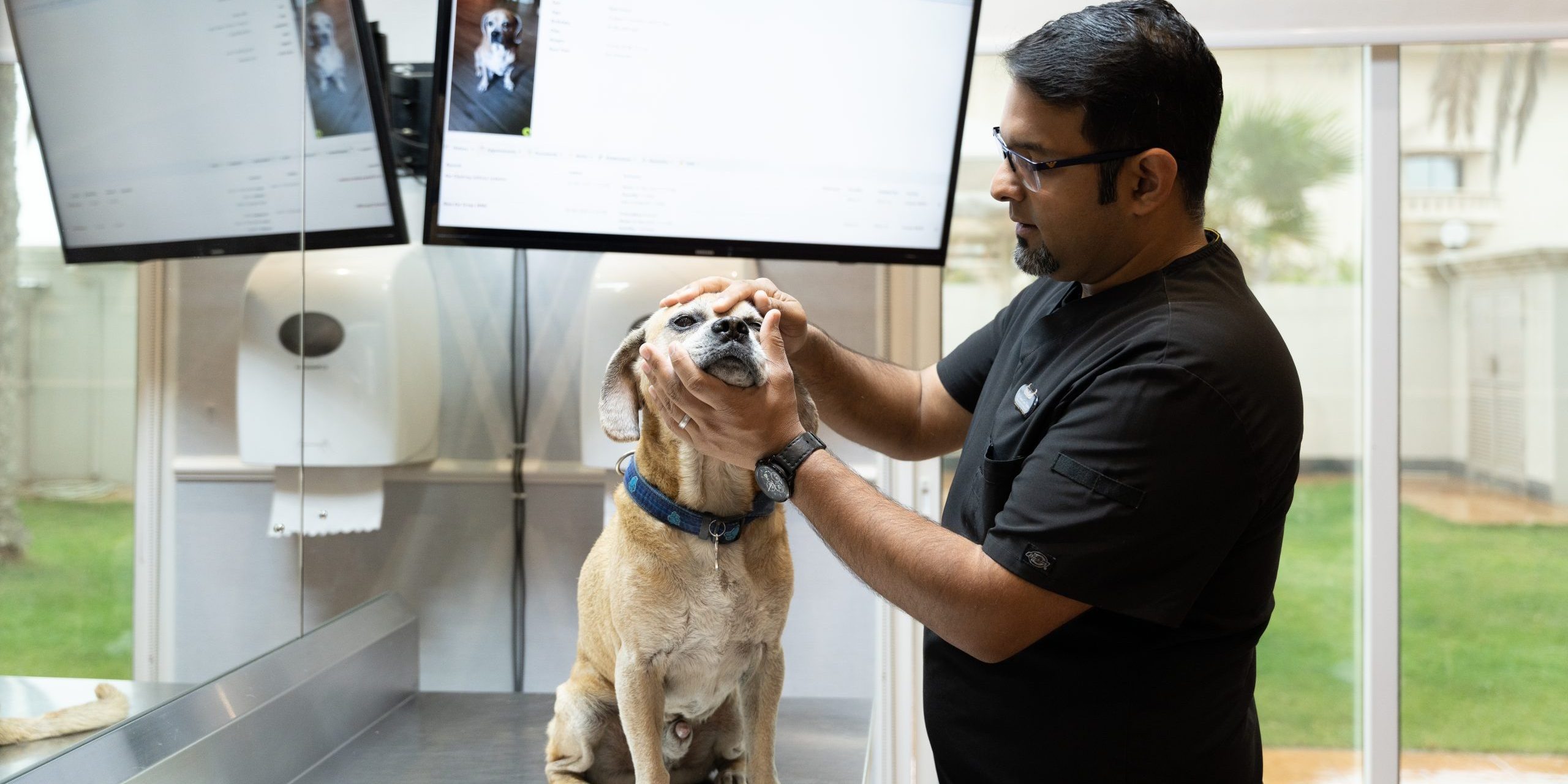 Advanced Veterinary Clinic in Bahrain Veterinarian examining a dog at an advanced veterinary clinic in Bahrain