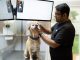 Veterinarian examining a dog at an advanced veterinary clinic in Bahrain