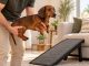 Owner lifting a dachshund near a pet ramp leading up to a sofa