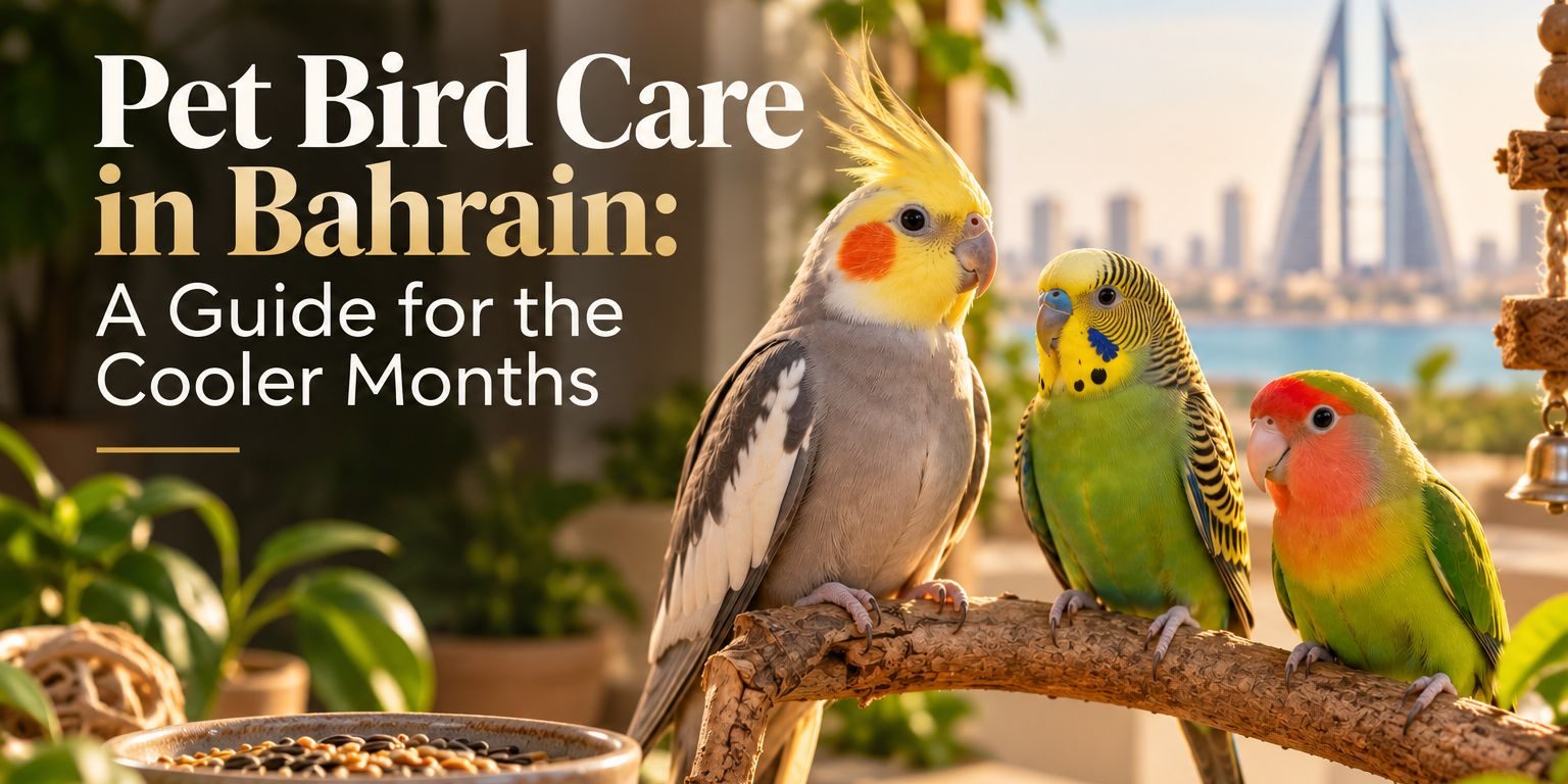 pet-bird-care-bahrain
